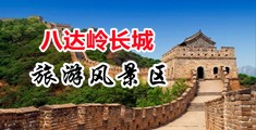 東北大騷婦亂倫視頻中国北京-八达岭长城旅游风景区