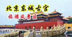 黄色靠逼激情网站中国北京-东城古宫旅游风景区